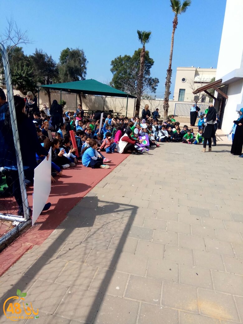 okhowatjah3q (23).jpg